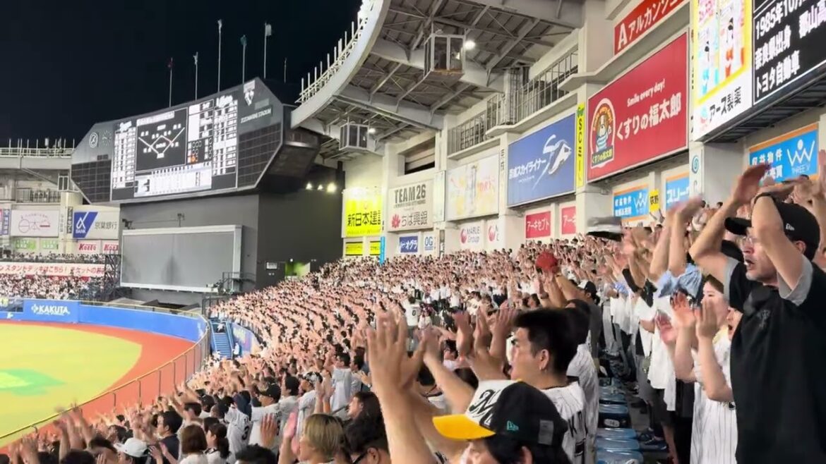 荻野貴司 応援歌  2024/6/14 ロッテ vs ドラゴンズ #chibalotte