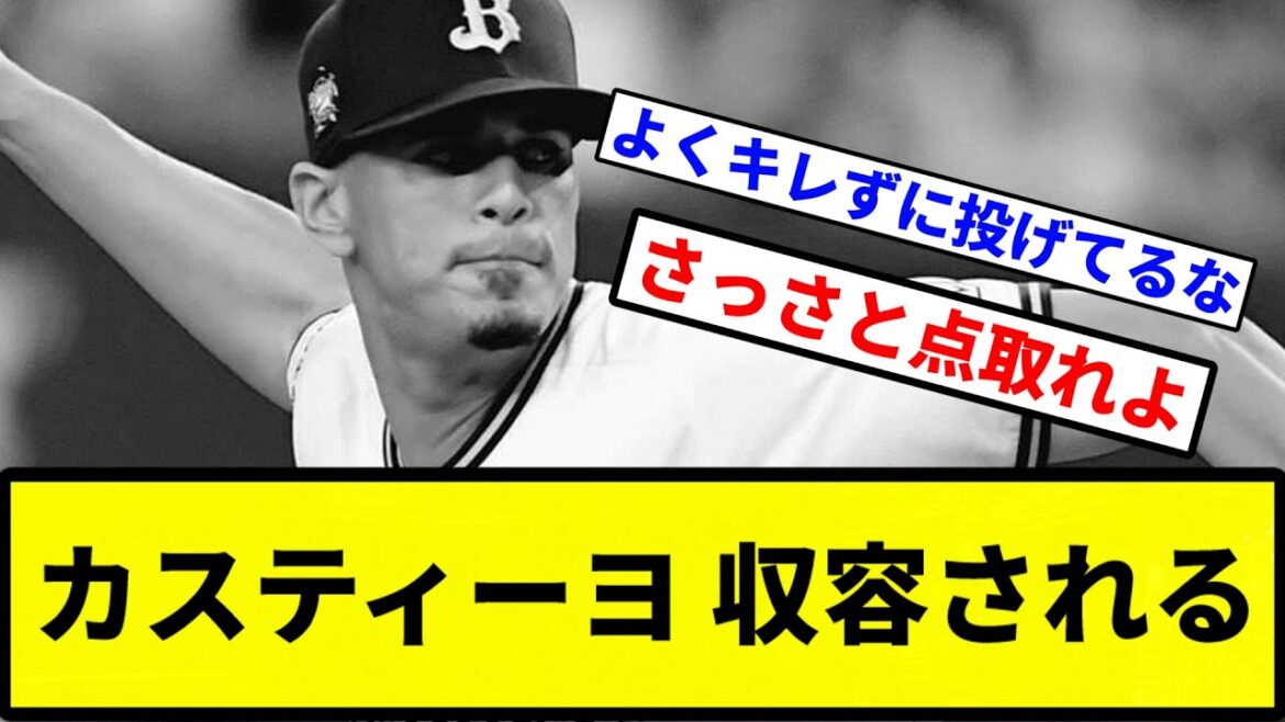 【お前 収容されたな】収容されるカスティーヨ 収容される【プロ野球反応集】【1分動画】