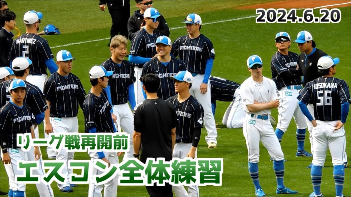 【日本ハム】リーグ戦再開前 エスコン全体練習の様子①【2024年6月20日】