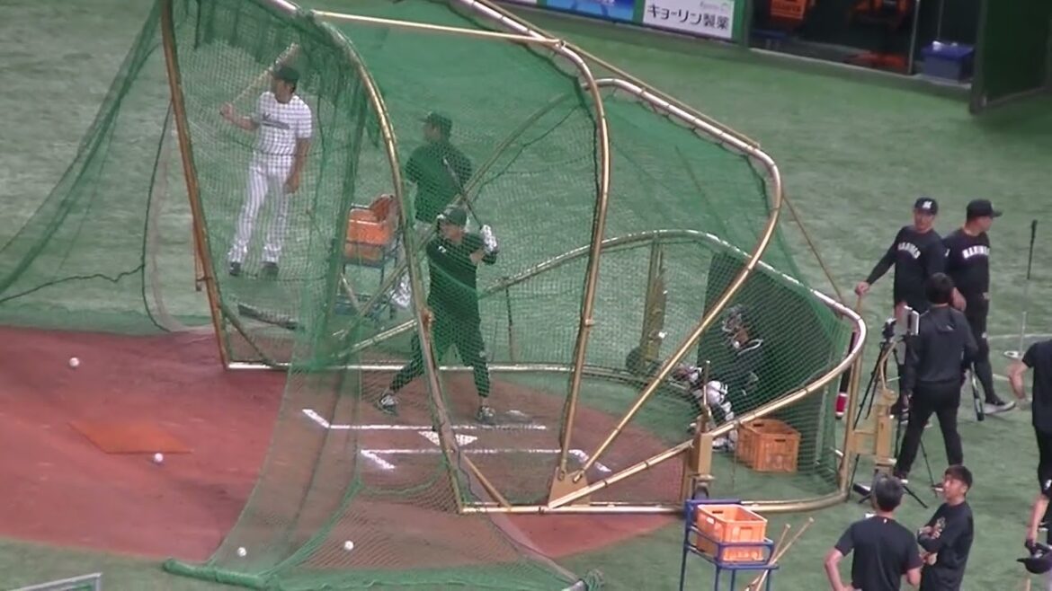 【フリーバッティング】ロッテ 角中勝也のスイング（2024年6月6日 読売ジャイアンツ対 千葉ロッテマリーンズ）