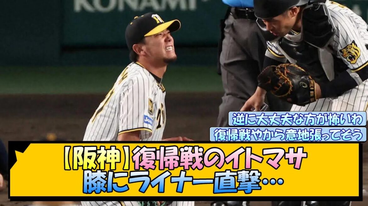 【阪神】復帰戦のイトマサ、膝にライナー直撃…【なんJ/2ch/5ch/ネット 反応 まとめ/阪神タイガース/岡田監督/伊藤将司】 【阪神】復帰戦のイトマサ、膝にライナー直撃…【なんJ/2ch/5ch/ネット 反応 まとめ/阪神タイガース/岡田監督/伊藤将司】