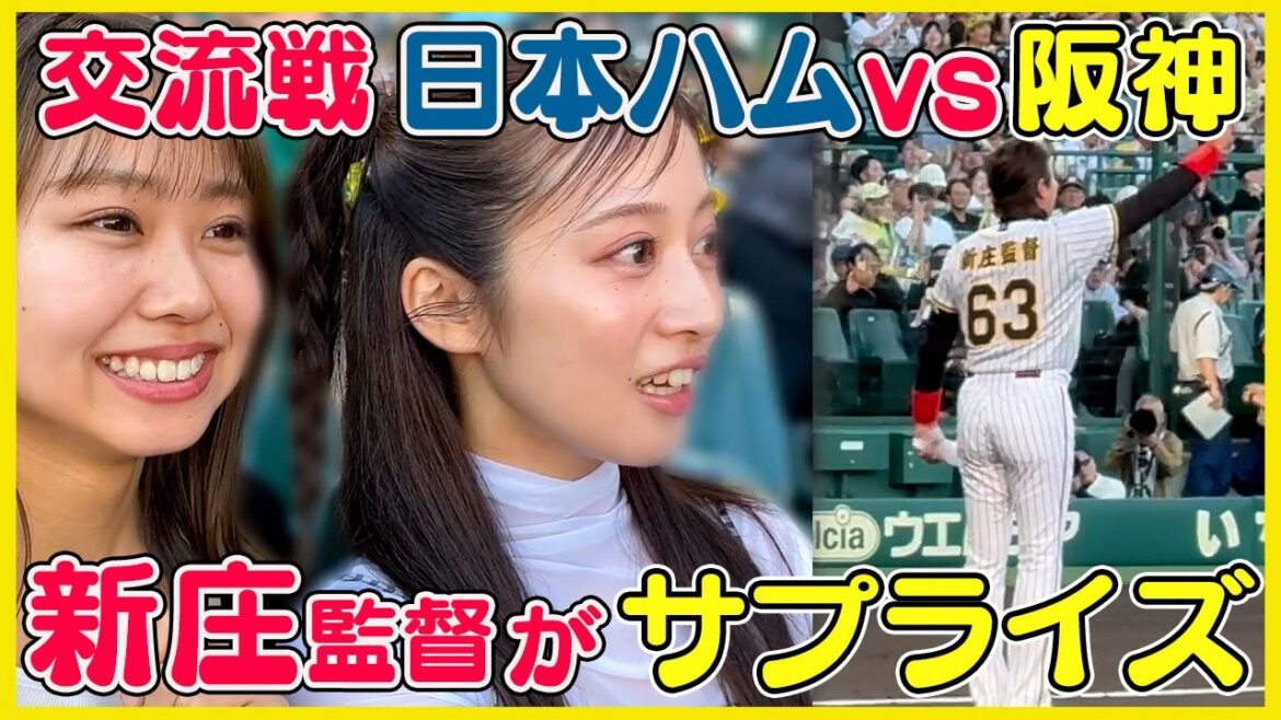 【交流戦】新庄監督からのまさかのサプライズ!【阪神タイガースVS日本ハム】 【交流戦】新庄監督からのまさかのサプライズ!【阪神タイガースVS日本ハム】