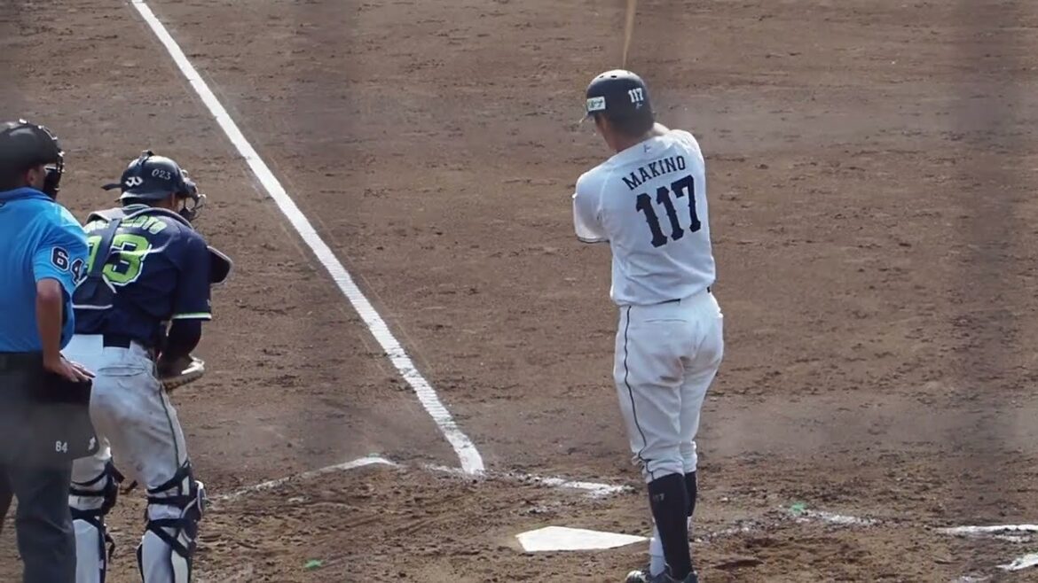 2024.06.08 埼玉西武-東京ヤクルト(カーミニーク) 牧野翔矢 打席シーン