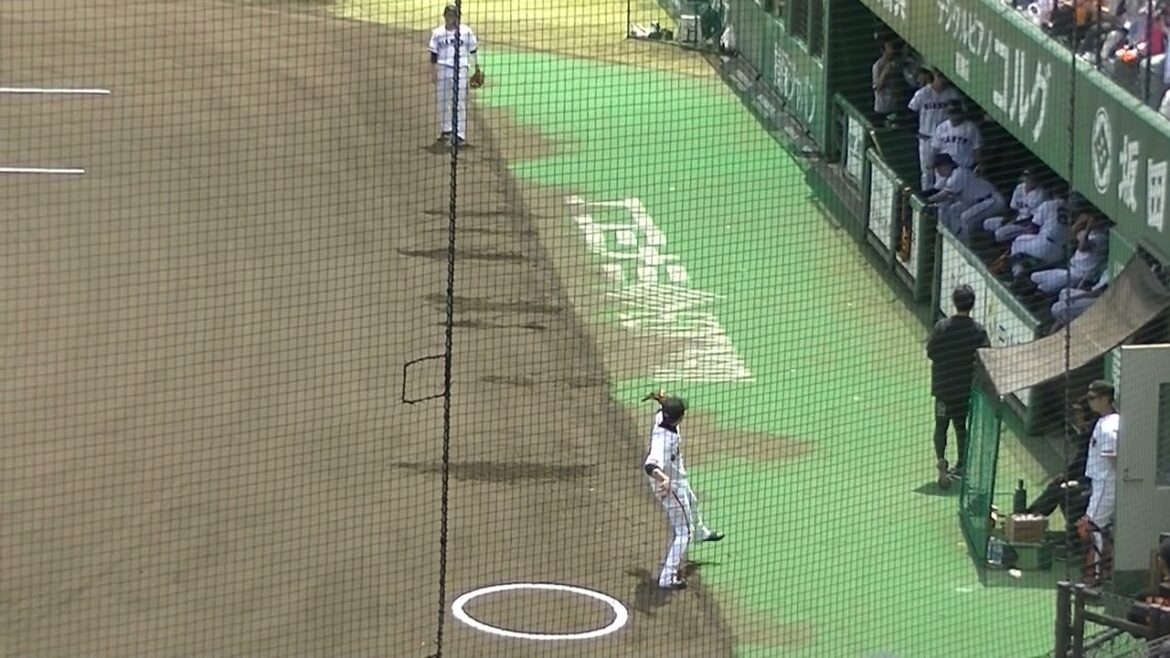 増田大輝と中山礼都のキャッチボール（読売ジャイアンツ対 ヤクルトスワローズ2024年5月29日）