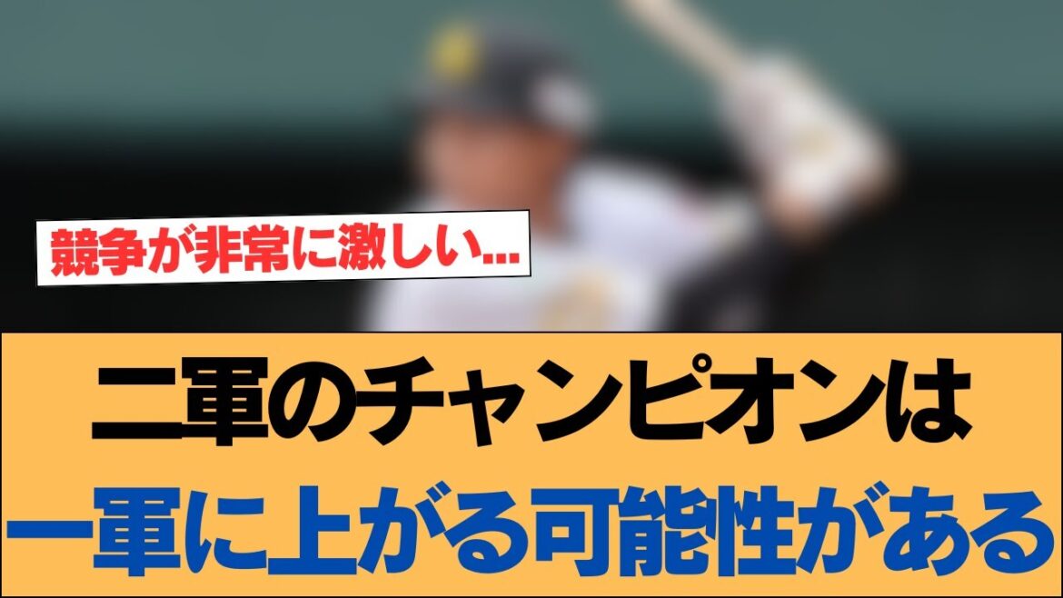【ホークス】二軍のチャンピオンは一軍に上がる可能性がある【ソフトバンクホークス】#ソフトバンクホークス #ソフトバンク #ホークス #プロ野球ニュース