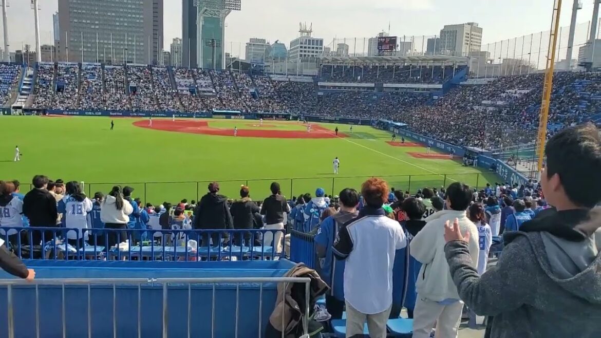 20240319　久しぶりの1軍打席へ！【中島卓也 応援歌】　7回表　北海道日本ﾊﾑﾌｧｲﾀｰｽﾞ　ﾅｶﾀｸ@神宮球場･ﾚﾌﾄ外野 明治神宮野球場 ｵｰﾌﾟﾝ戦