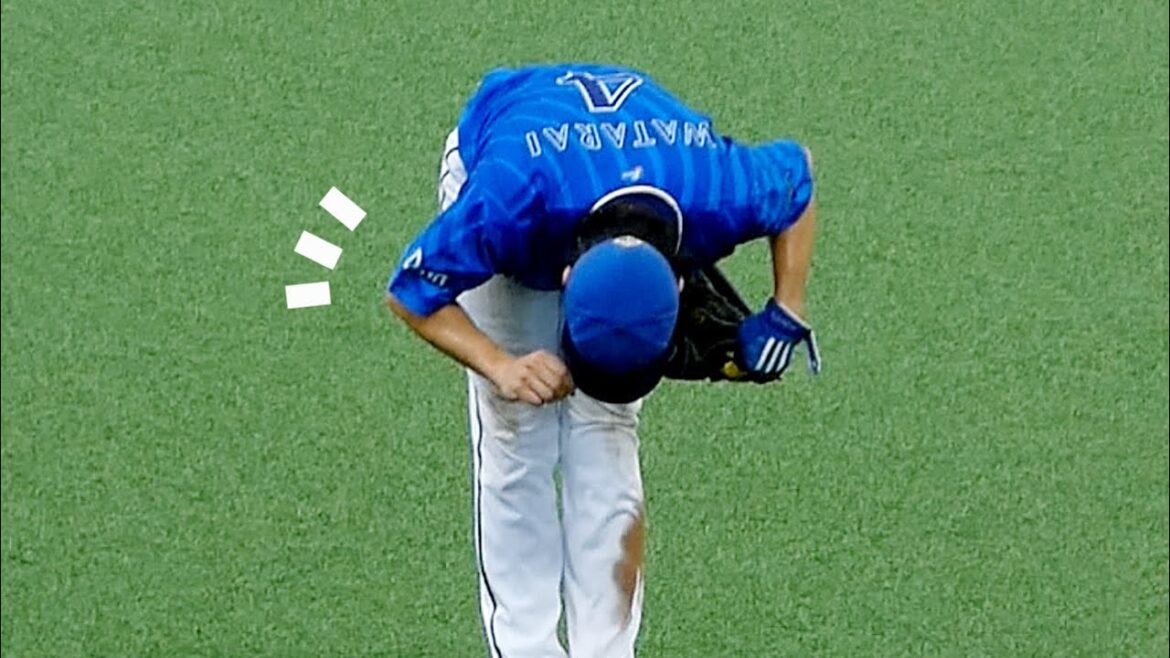 ファンの声援に応える度会くんと森くん【横浜DeNAベイスターズ 2024/6/15】