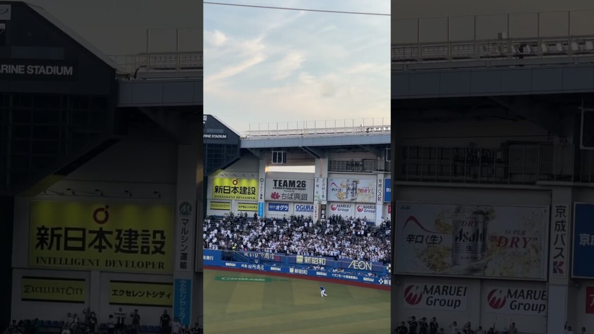 롯데 마린스 서포터즈 #타카베 #히팅테마