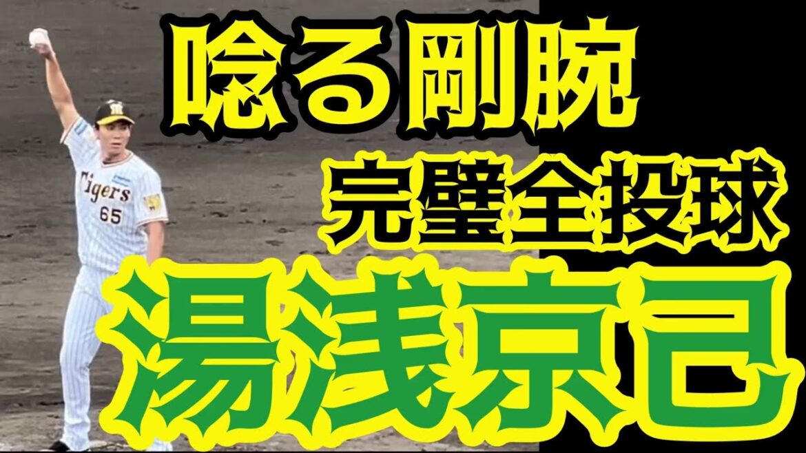 【唸る剛腕】 #阪神 #湯浅京己 投手完璧全投球 #阪神鳴尾浜球場 24.6.20.