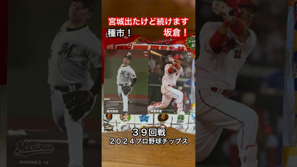 【2024プロ野球チップス第1弾】種市篤暉・坂倉将吾｜千葉ロッテマリーンズ・広島カープ｜宮城大弥出たけど続けます #shorts