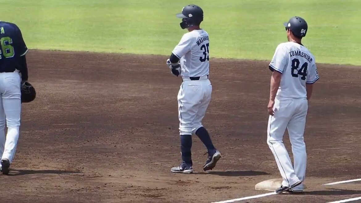 2024.06.08 埼玉西武-東京ヤクルト(カーミニーク) 若林楽人 打席シーン