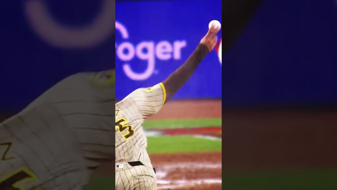 🏆NL Reliever of the Month '12.1이닝 1실점, ERA 0.73 13K' 로베르트 수아레스 [2024시즌 5월 스페셜]  #mlb #baseball