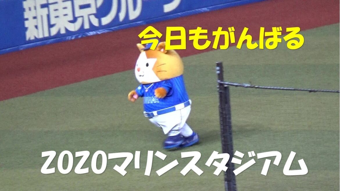 本日のDB.スターマン　2024/6/12 　ZOZOマリンスタジアム