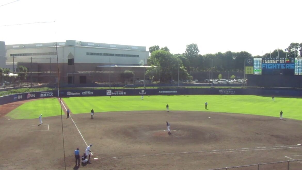【マリーンズ】東妻 勇輔〜有薗直輝をセカンドゴロで試合終了2024年6月5日 日本ハムファイターズ対 千葉ロッテマリーンズ