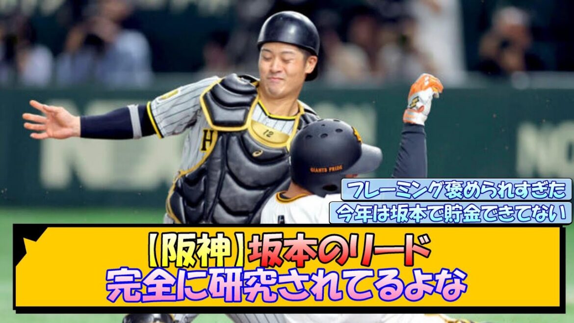 【阪神】坂本のリード 完全に研究されてるよな【なんJ/2ch/5ch/ネット 反応 まとめ/阪神タイガース/岡田監督/坂本誠志郎】