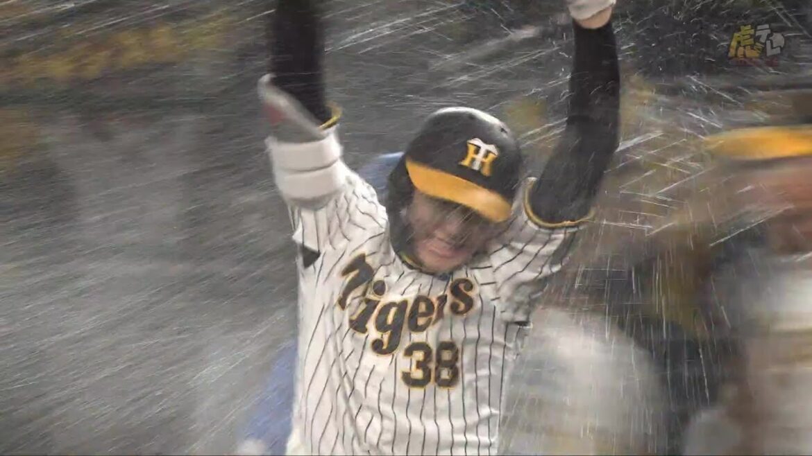 【サヨナラ】9回裏 #小幡竜平 選手がライトへサヨナラタイムリーヒット！代走 #植田海 選手の好走塁も光る！【2024/6/21Ｔ－ＤＢ】