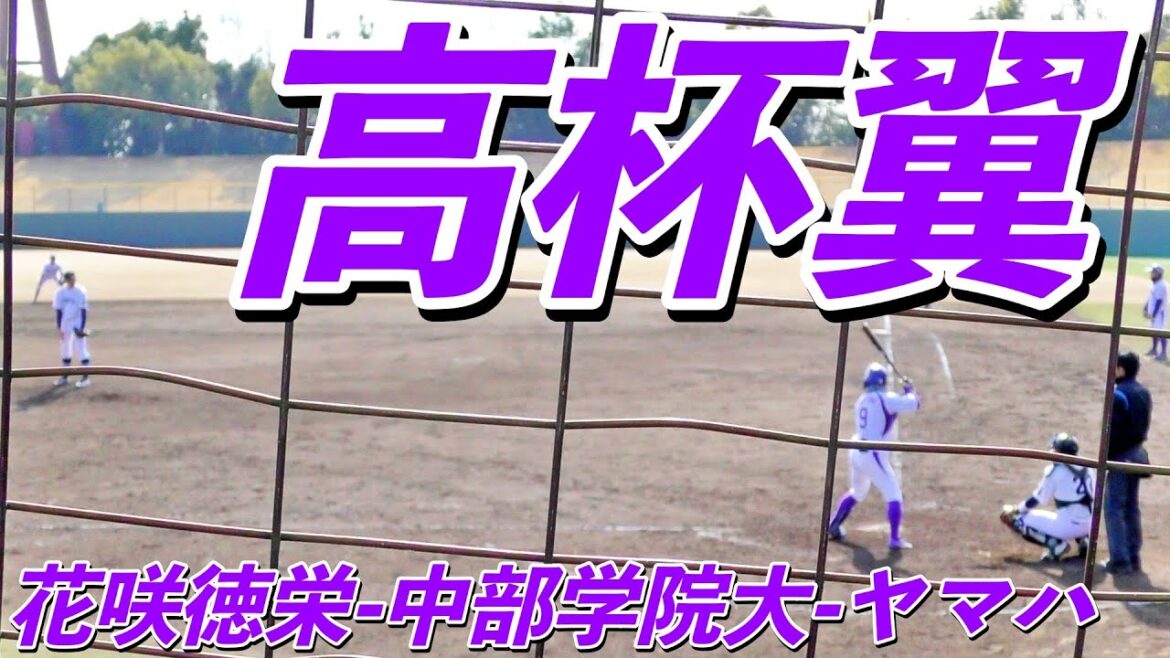 高杯翼（花咲徳栄-中部学院大-ヤマハ）バッティングフォーム 打ち方 タイミングの取り方 体重移動 打撃 構え【2024/3/11 第23回東海社会人・愛知大学野球対抗戦】
