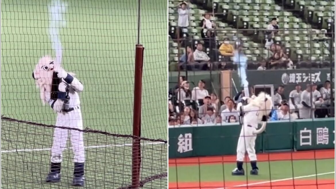 【2軍戦は人手不足】バズーカタイムは2回に分けて、レオが一塁側も三塁側も一頭で砲撃【西武vs ロッテ】2024/6/21ファーム 【2軍戦は人手不足】バズーカタイムは2回に分けて、レオが一塁側も三塁側も一頭で砲撃【西武vs ロッテ】2024/6/21ファーム