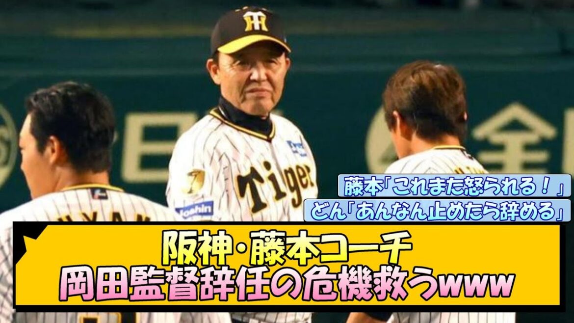 阪神・藤本コーチ 岡田監督辞任の危機救うwww【なんJ/2ch/5ch/ネット 反応 まとめ/阪神タイガース/岡田監督】 阪神・藤本コーチ 岡田監督辞任の危機救うwww【なんJ/2ch/5ch/ネット 反応 まとめ/阪神タイガース/岡田監督】
