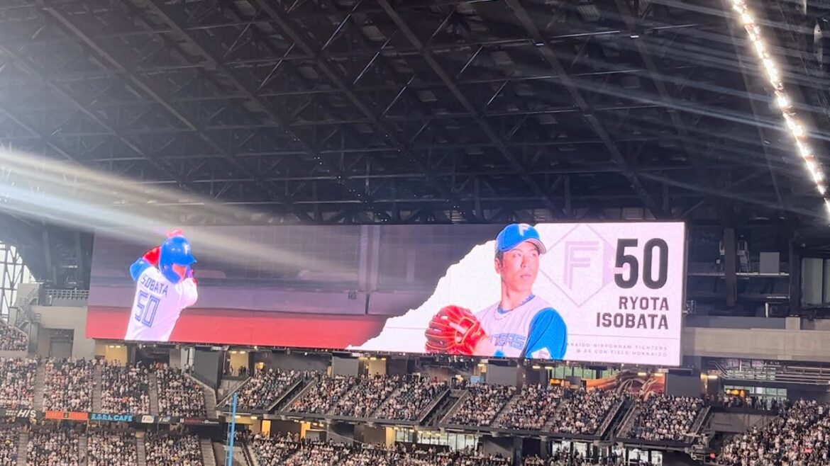 五十幡亮汰 登場曲「ドリームエクスプレス」/FLOW