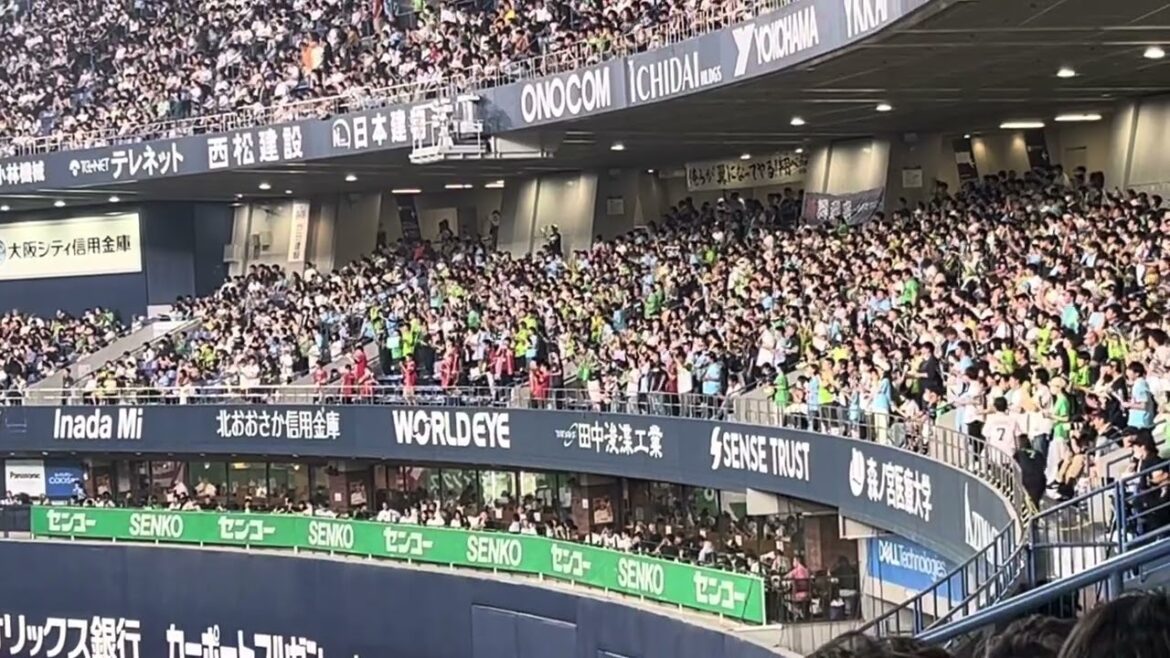 2024.6.16武岡龍世応援歌【京セラドーム大阪】