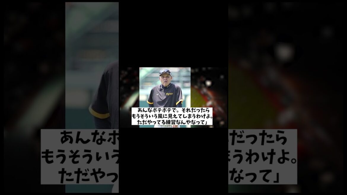 阪神・岡田監督　不満が止まらないwwwwww【野球情報】【2ch 5ch】【なんJ なんG反応】