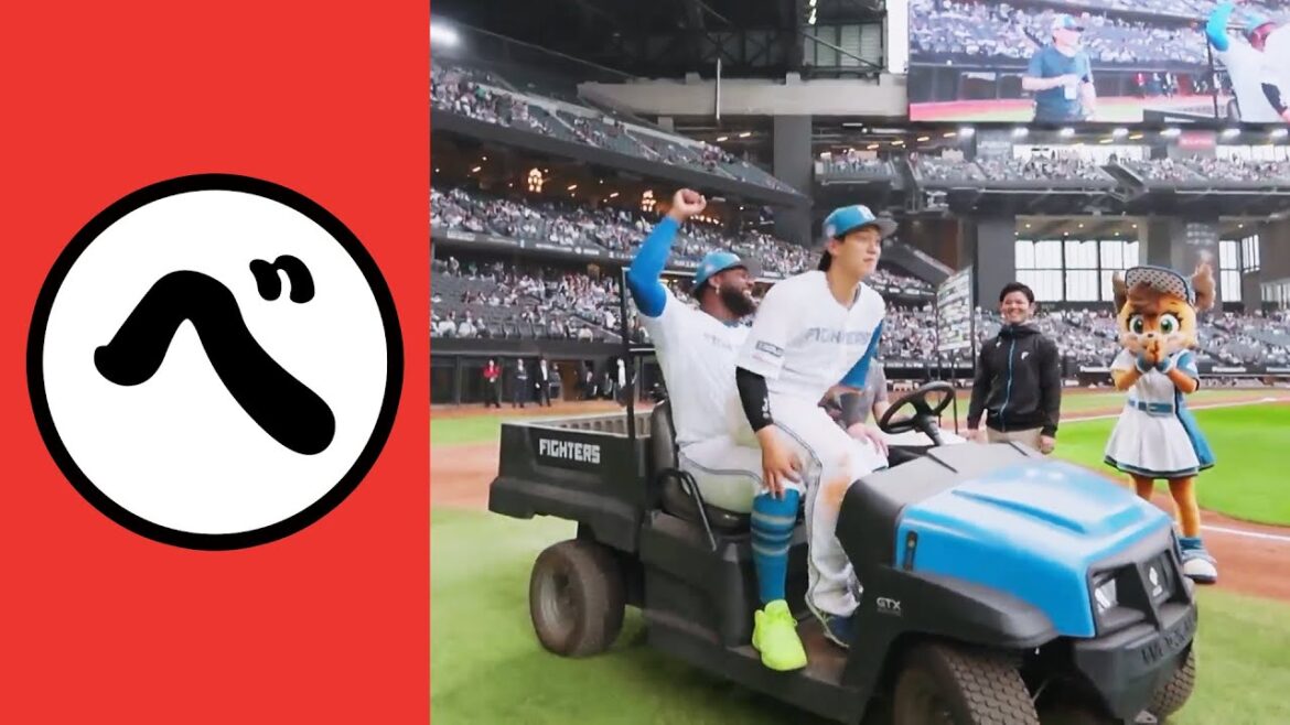 【べ】べストフレンドの特等席（膝の上）【まとめるほどではないまとめ】