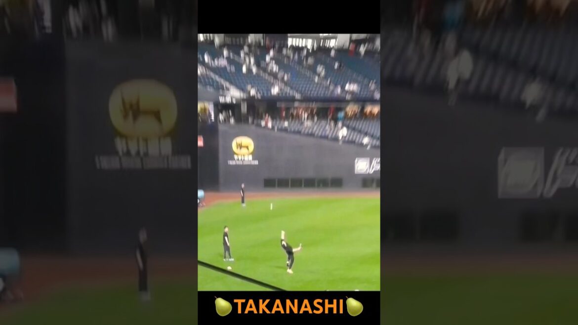 【スゴ技】高梨雄平の投げた球が想像以上に高かった