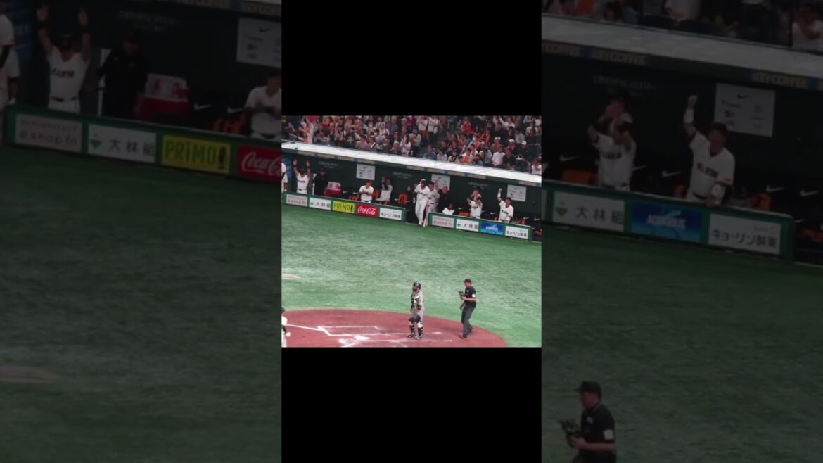 松原聖弥タイムリーで喜ぶ巨人ベンチの選手や阿部慎之助 監督（ 読売ジャイアンツ対 阪神タイガース2024年3月30日）