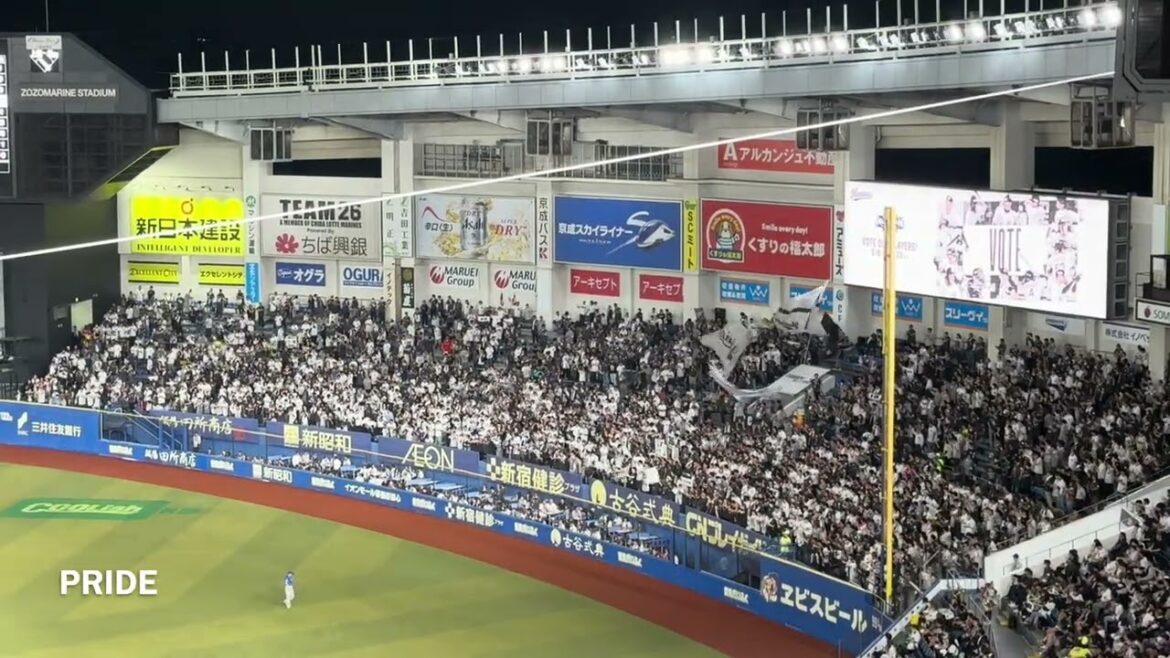 20240611 CHIBA LOTTE MARINES Chants from Inter League セ・パ交流戦 千葉ロッテマリーンズ チャント集 ZOZOマリン 20240611 CHIBA LOTTE MARINES Chants from Inter League セ・パ交流戦 千葉ロッテマリーンズ チャント集 ZOZOマリン