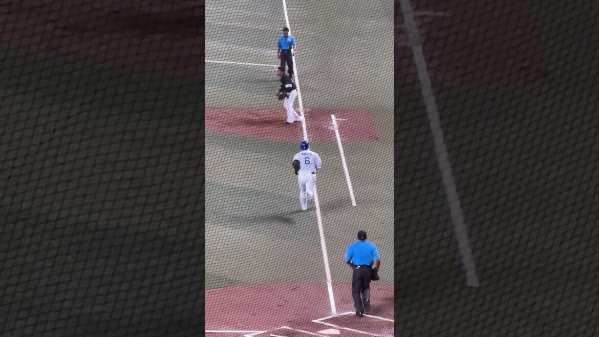 ゆっくり走る⚠️ケガちうい😨全く打てない中田🫨ソフトバンク交流戦🌈ナゴヤドーム2024.6.4 ソフトバンク戦 2-3負け🥲髙橋宏斗試合作るも、同点で9回ライデル打たれる😨 内野S100番台上段より ゆっくり走る⚠️ケガちうい😨全く打てない中田🫨ソフトバンク交流戦🌈ナゴヤドーム2024.6.4 ソフトバンク戦 2-3負け🥲髙橋宏斗試合作るも、同点で9回ライデル打たれる😨 内野S100番台上段より