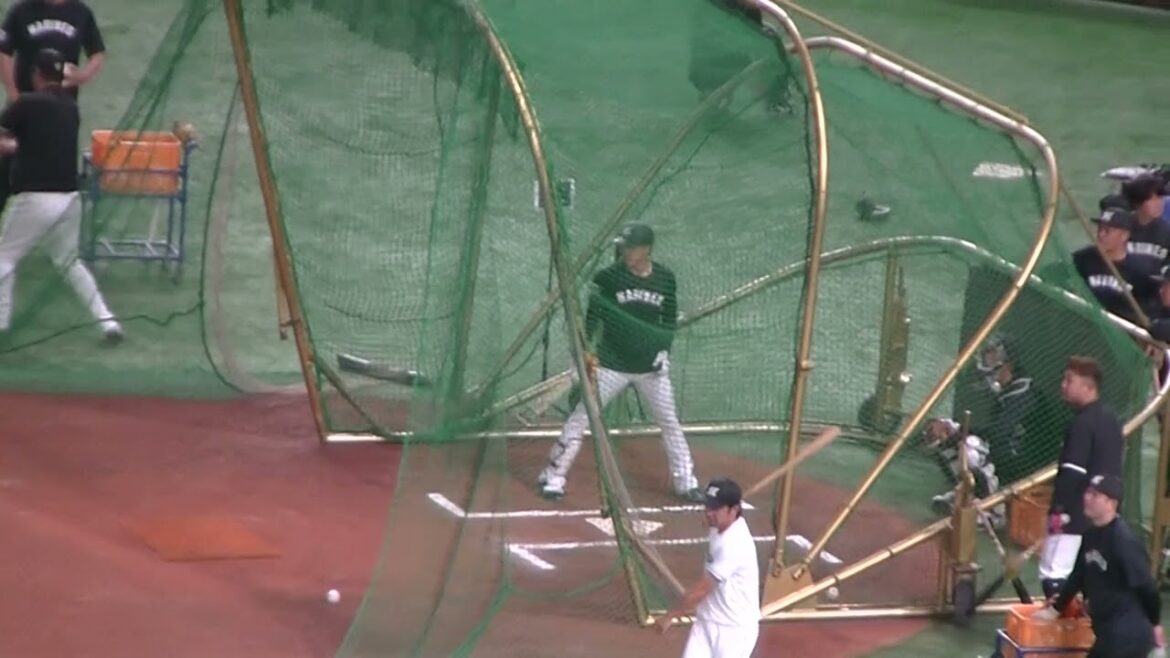 【フリーバッティング】ロッテ小川龍成のスイング(2024年6月6日 読売ジャイアンツ対 千葉ロッテマリーンズ) 【フリーバッティング】ロッテ小川龍成のスイング(2024年6月6日 読売ジャイアンツ対 千葉ロッテマリーンズ)