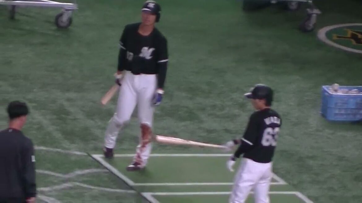 【千葉ロッテ】茶谷健太がティーバッティング【読売ジャイアンツ対千葉ロッテマリーンズ2024年6月4日】