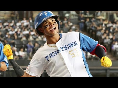 日本ハムで花開け、水谷瞬 日本ハムで花開け、水谷瞬