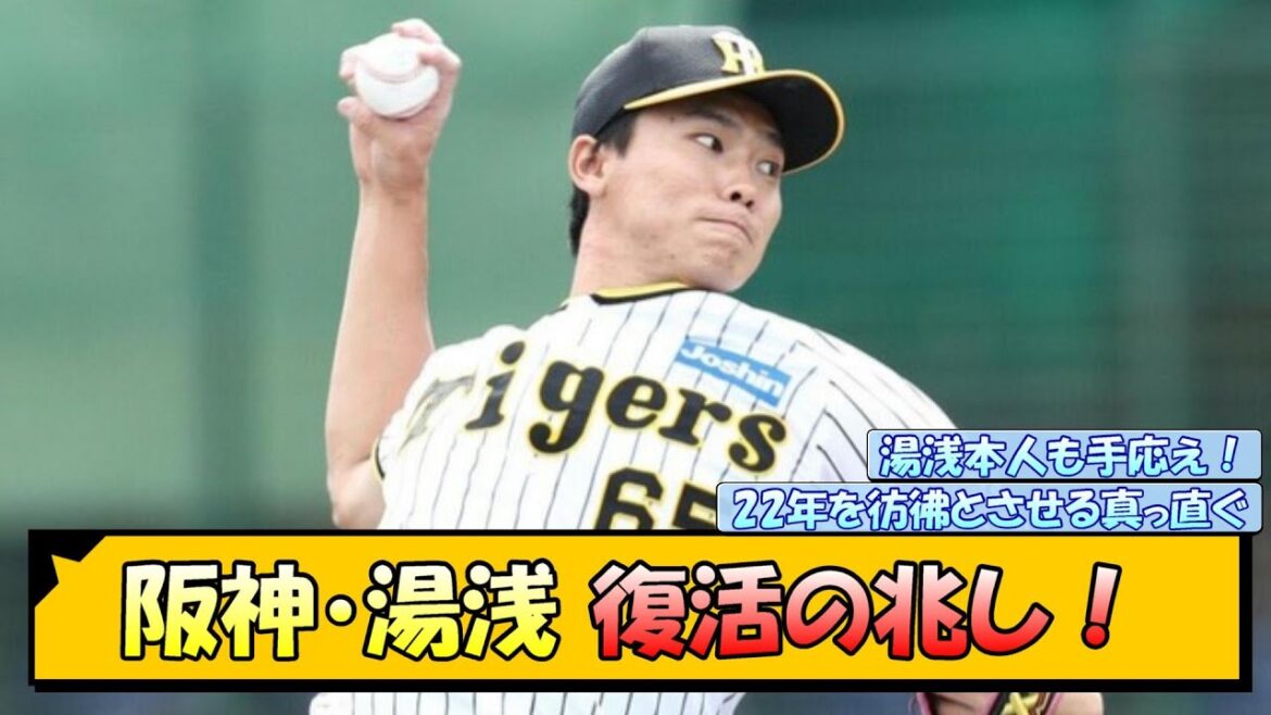 阪神・湯浅に復活の兆し!【なんJ/2ch/5ch/ネット 反応 まとめ/阪神タイガース/岡田監督】 阪神・湯浅に復活の兆し!【なんJ/2ch/5ch/ネット 反応 まとめ/阪神タイガース/岡田監督】