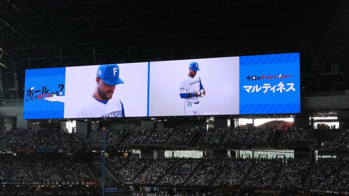 【20240623】マルティネス　ボール何個持てるかな？