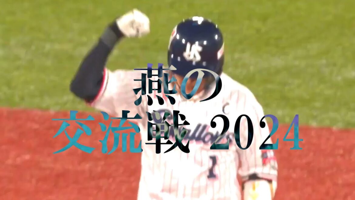 【雑編集】2024交流戦PV 東京ヤクルトスワローズ×stardom