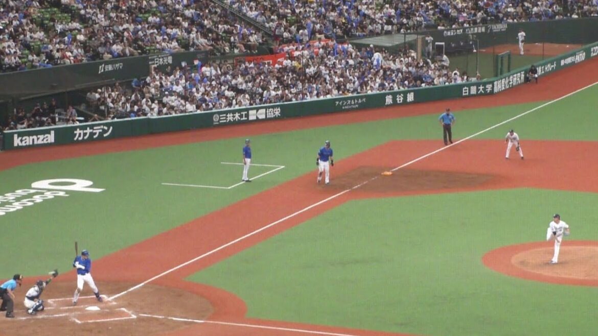 DeNA 山本祐大 デッドボール　西武 vs DeNA　2024年6月15日(土) ベルーナドーム