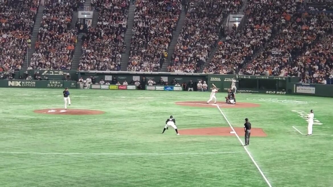 20240319　内野手ﾗｲﾄに新応援歌♪【中山礼都 応援歌】　読売ｼﾞｬｲｱﾝﾂ(巨人)　6回ｳﾗ@東京ﾄﾞｰﾑ･ﾚﾌﾄ外野 ｵｰﾌﾟﾝ戦