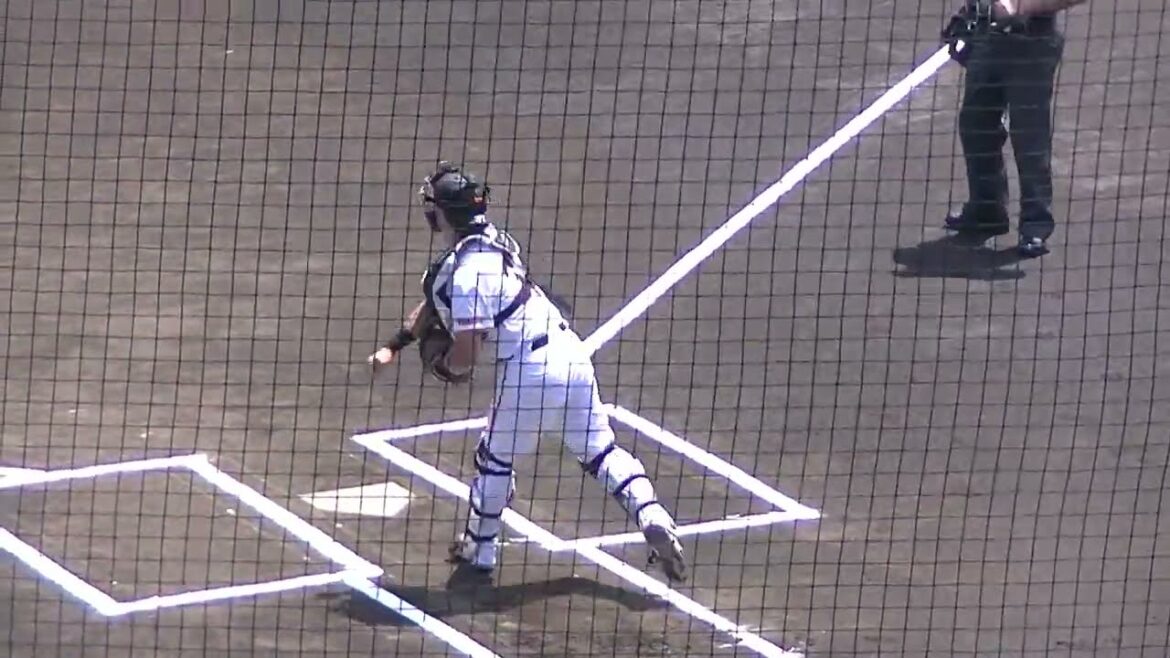 郡拓也のキャッチングとスローイング（読売ジャイアンツ2軍 対 セガサミー2024年6月19日）