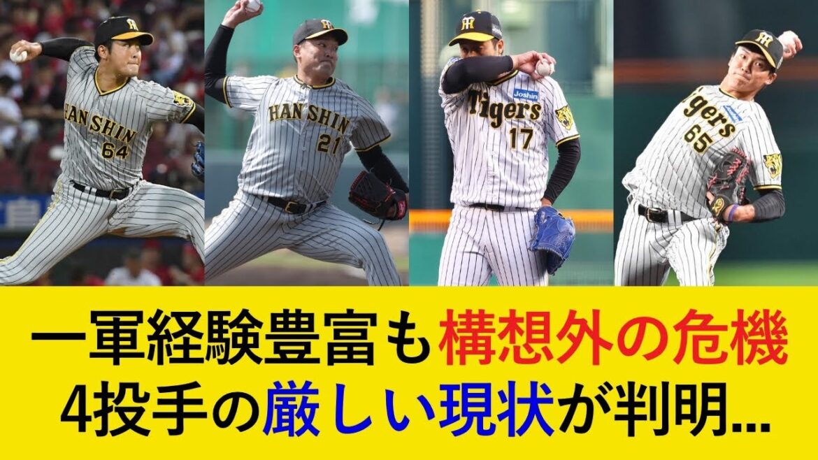 【構想外の危機...？】一軍での実績も豊富な4選手の厳しい現状が判明...。競争を勝ち抜き、復活なるか！【阪神タイガース】