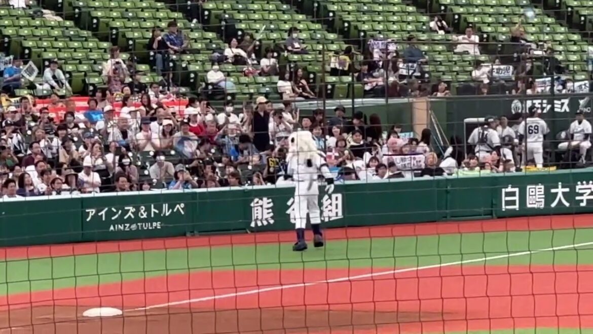 今日も勇ましいソロダンスのレオ『吠えろライオンズ』【西武vs ロッテ】2024/6/22ファーム 今日も勇ましいソロダンスのレオ『吠えろライオンズ』【西武vs ロッテ】2024/6/22ファーム