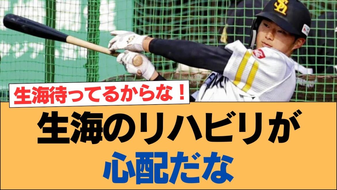 生海のリハビリが心配だな【ホークス・ソフトバンクホークス】 生海のリハビリが心配だな【ホークス・ソフトバンクホークス】