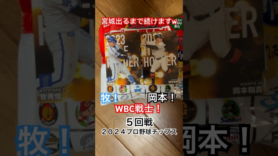 【2024プロ野球チップス第1弾】タイトルホルダー岡本和真・牧秀悟｜東京読売ジャイアンツ・横浜DeNAベイスターズ｜宮城大弥出るまで終われません #shorts