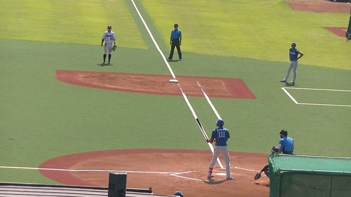 日ハム濵田泰希 ヤクルト長谷川宙輝が三振にとる（2024年6月14日 ヤクルトスワローズ対 日本ハムファイターズ）