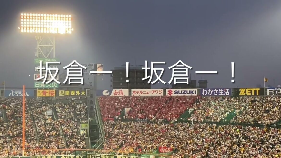 2024/5/7 広島　坂倉将吾　応援歌