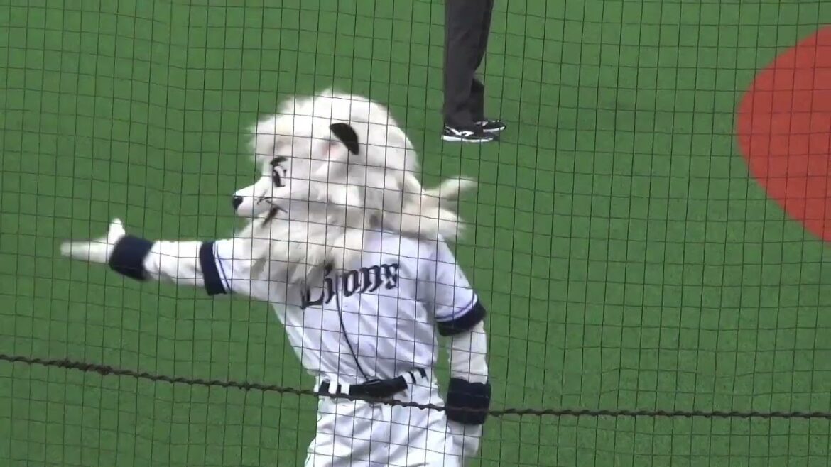 👍イースタン・リーグ【レオ】西武vsロッテ ベルーナドーム 2024/06/22 👍イースタン・リーグ【レオ】西武vsロッテ ベルーナドーム 2024/06/22