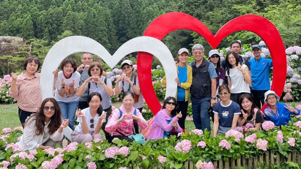 超棒的杉林溪觀瀑、賞花、打太極拳之旅（繡球花季：繡球花滿開好美麗、瀑布水霧真大好涼爽、負離子超多好健康）