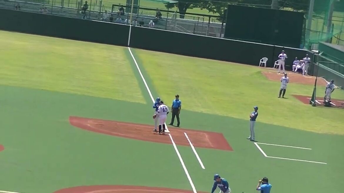 ヤクルト増田珠 福田光輝の打球をホームで刺そうとするが（2024年6月14日 ヤクルトスワローズ対 日本ハムファイターズ）