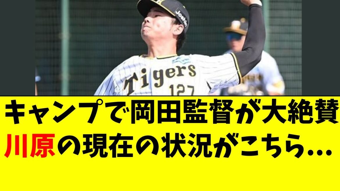 【阪神】川原陸の現在の状況がこちら。支配下昇格はあるのか 【阪神】川原陸の現在の状況がこちら。支配下昇格はあるのか